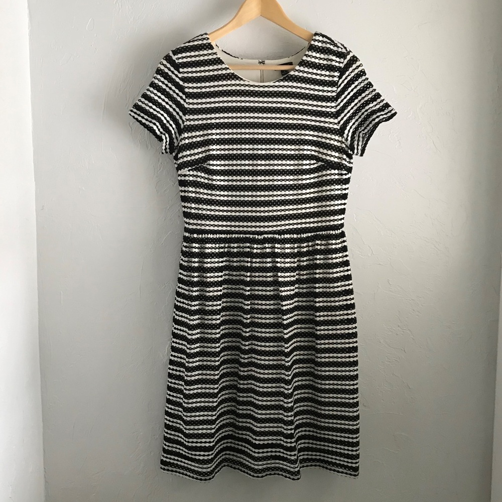 NWT Ann Taylor Black & White Eyelet Dress
